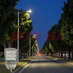 SH-D46 chiếu sáng khu đô thị