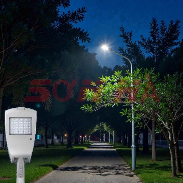 SH-D45 chiếu sáng công viên