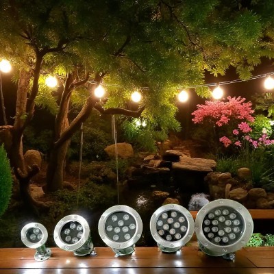 Không gian thêm sinh động với hệ thông chiếu sáng của Sơn Hà